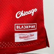 Chicago Bulls ×Blackpink #16 Swingman 3